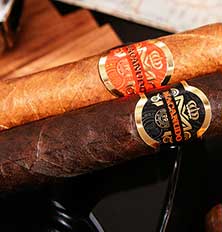 Cigare Marseille.com - vente cigare